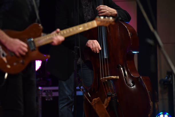 Hands of double bass player playing live on instrument strings