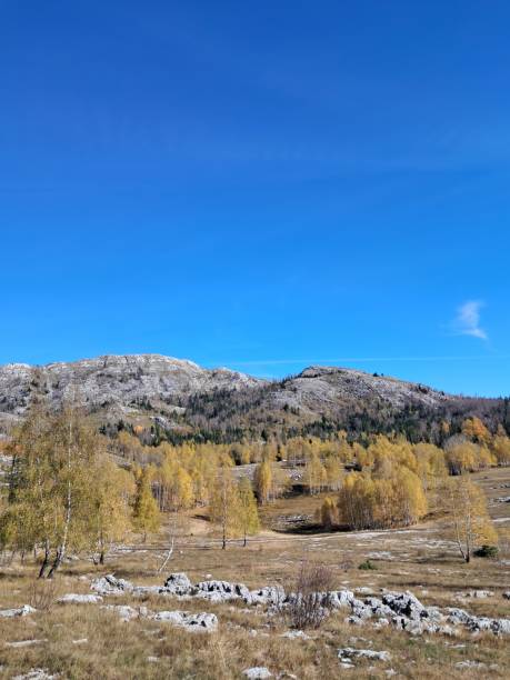 istock Autumn of Montenegro,  wild beauty 2183236505