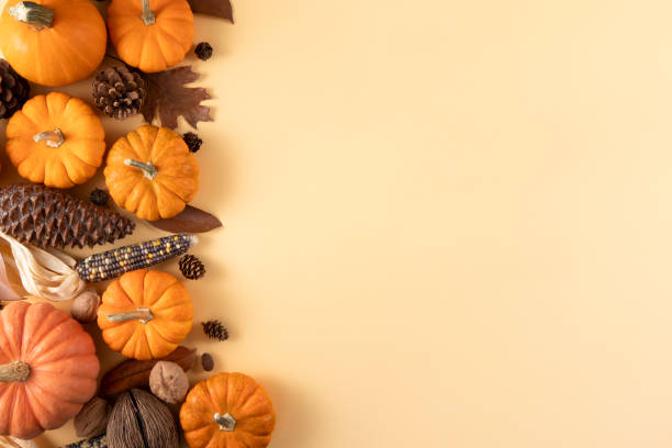 istock Thanksgiving Background with Pumpkins and Autumn Leaves 2183237070