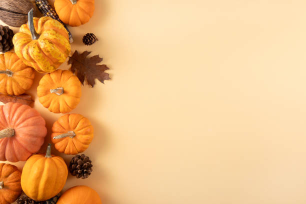 istock Thanksgiving Background with Pumpkins and Autumn Leaves 2183237134