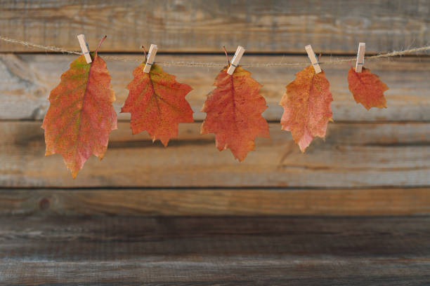 istock Fall Seasonal Background. Thanksgiving mockup 2183238934