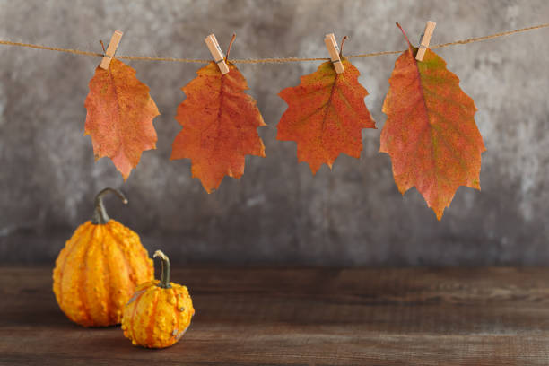 istock Fall Seasonal Background. Thanksgiving mockup 2183238938