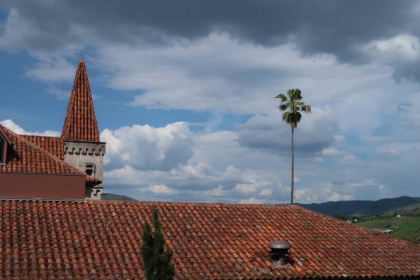 istock Rooftops and Palm Tree Against Dramatic Sky in Melides, Portugal 2183240370