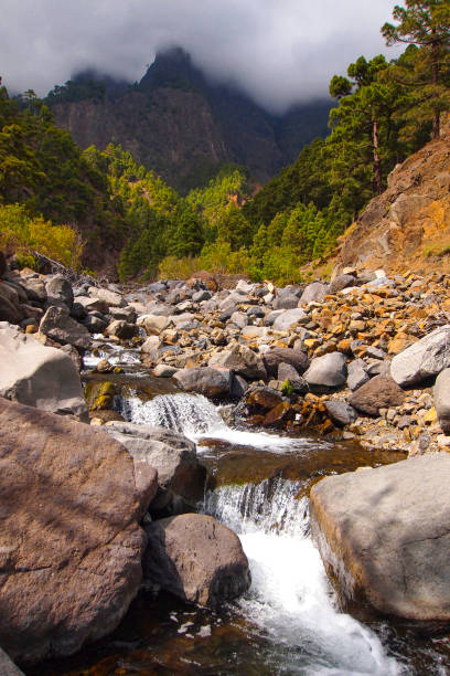 Taburiente River, Caldera de Taburiente National Park, Biosphere Reserve, ZEPA, LIC, La Palma, Canary Islands, Spain, Europe