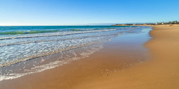 istock Beach of la Barrosa, Chiclana, Spain 2183244295