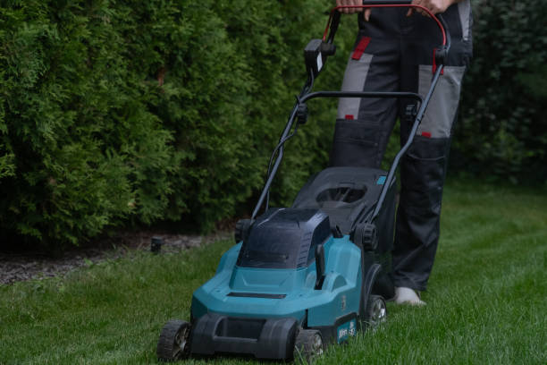 Gardener actively mowing the lawn with a cordless rotary mower stock photo