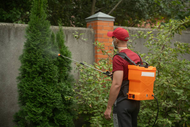istock Man in a red hat is spraying a tree with a hose 2183245518