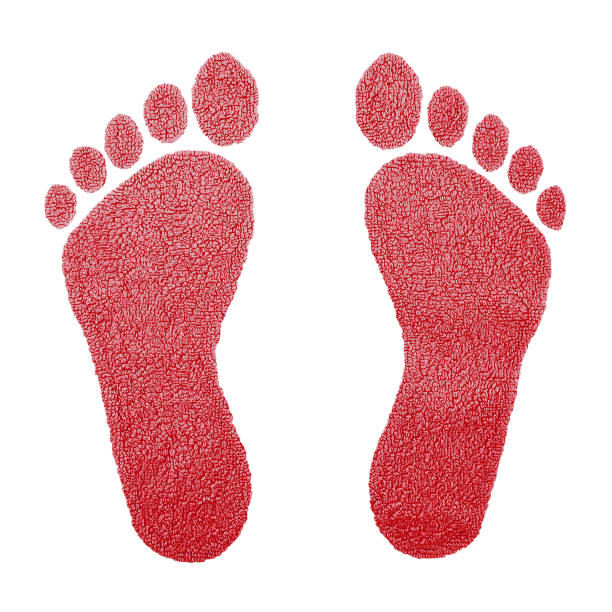 Trail of muddy footprints on carpet.