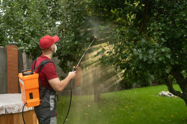 istock Gardener wearing protective mask spraying trees with insecticide 2183246610