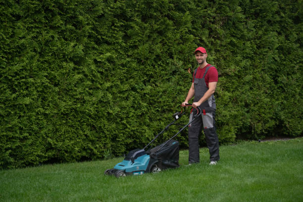 Gardener mowing lawn with modern lawnmower stock photo