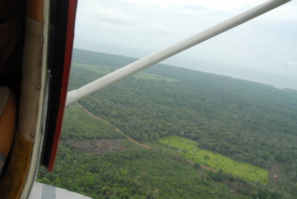 istock jungle rain forest canopy in Toledo District, Southern Belize, Central America with tree tops in lush green taken from a light aircraft 2183248680