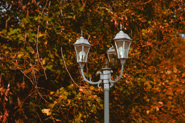 istock Old lantern against the background of autumn trees 2183254458