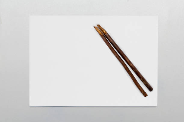 istock Calligraphy reeds on white paper isolated over white background 2183258501