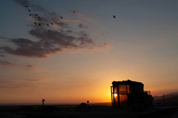 istock Sunset Silhouette with Birds Flying Over Rooftop 2183258510