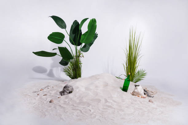 Mysterious pirate-themed scene with skull and bottle on white sandy beach crafted for a thrilling Halloween character.