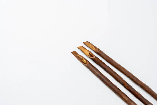 Set of calligraphy reeds isolated over white background. Reeds pen ink for writing Arabic calligraphy