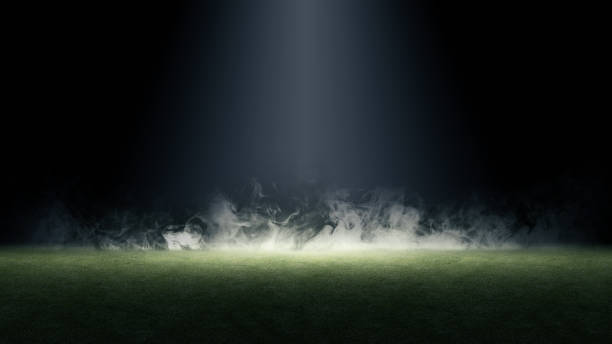 Surface of green grass. Abstract texture with mist or fog