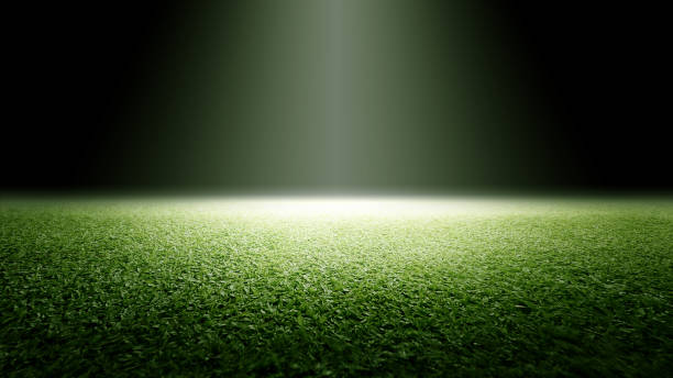 istock Surface of green grass. Abstract texture with mist or fog 2183260457