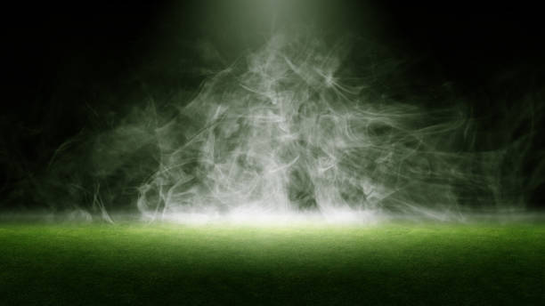 istock Surface of green grass. Abstract texture with mist or fog 2183260510