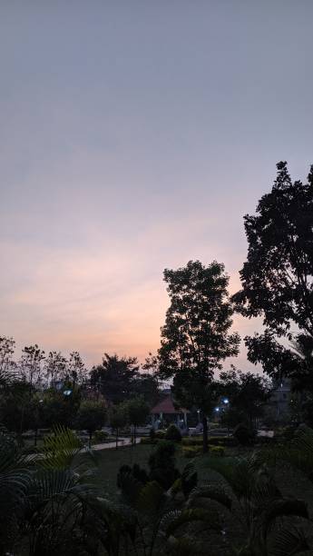 istock Serene evening with silhouetted trees and pastel sky 2183261606