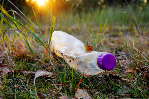 istock Plastic bottle thrown away in forest. Garbage in nature, reusable products. 2183262032