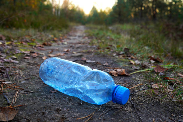 istock Plastic bottle thrown away in forest. Garbage in nature, reusable products. 2183262833