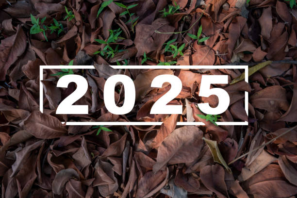 istock Top view of 2025 number written on brown leaves background 2183262921