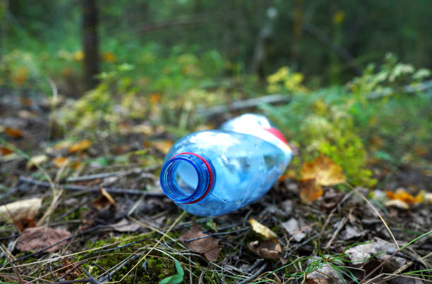 istock Plastic bottle thrown away on forest road. Garbage in nature, reusable product. 2183266437
