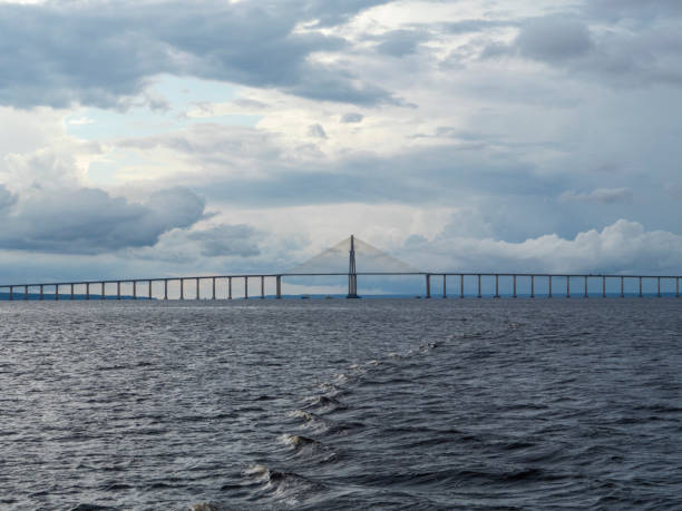 istock The “Ponte Do Rio Negro” bridge near Manaus. 2183277713