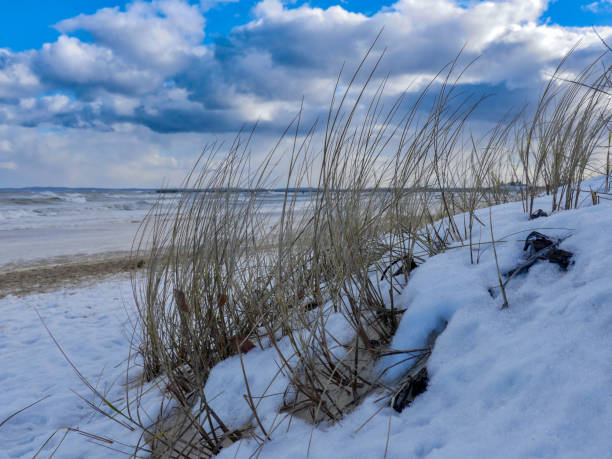 istock Snow-covered dunes by the ocean in winter 2183279087