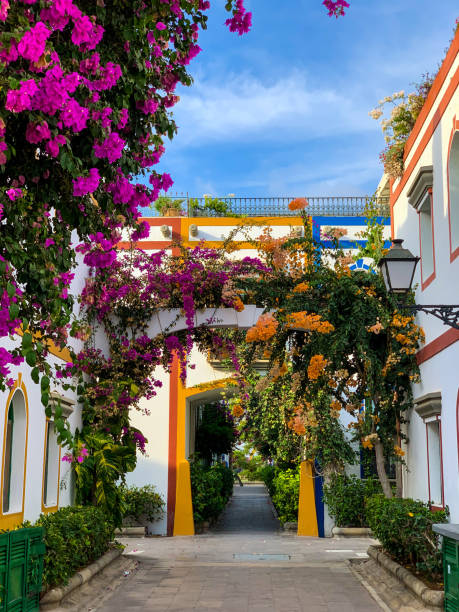 istock Charming Alley in Spain Adorned with Colorful Flowers 2183280372