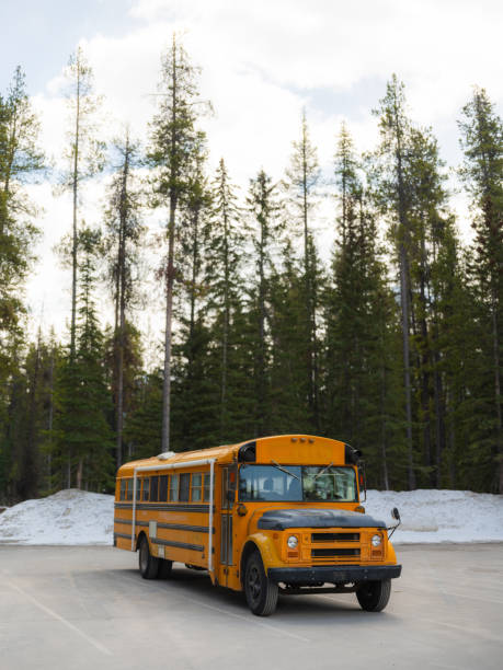Yellow school bus driving on a rural highway at sunset with golden hour light reflecting off windows.