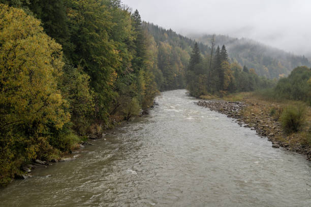 istock Mountain river and leaf fall forest on a rainy day. Moloda River near Osmoloda in Ivano-Frankivsk region, Ukraine. Autumn landscape. 2183284314