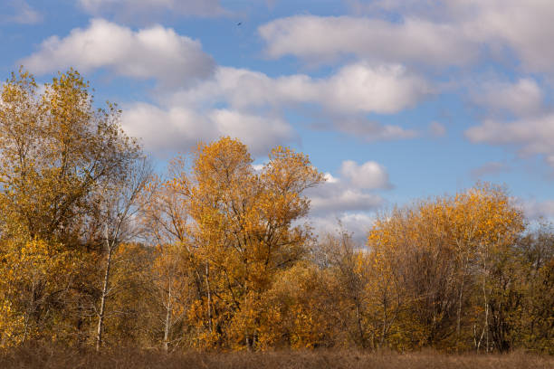 Fall colors at La Mauricie National Park, Quebec, Canada