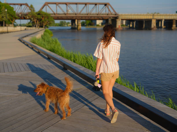 istock Woman walking with dog on  canal in Quebec, Canada 2183286028