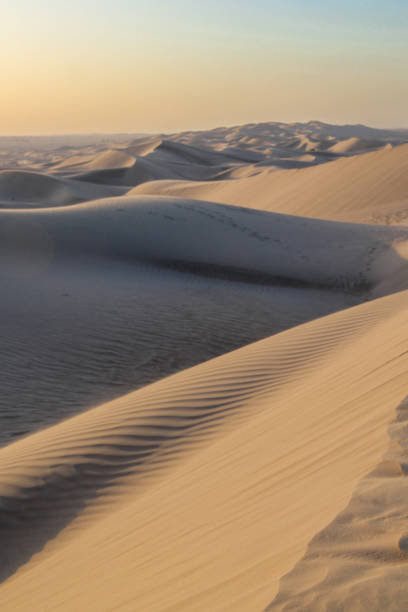 istock Sand dunes to the horizon 2183286507