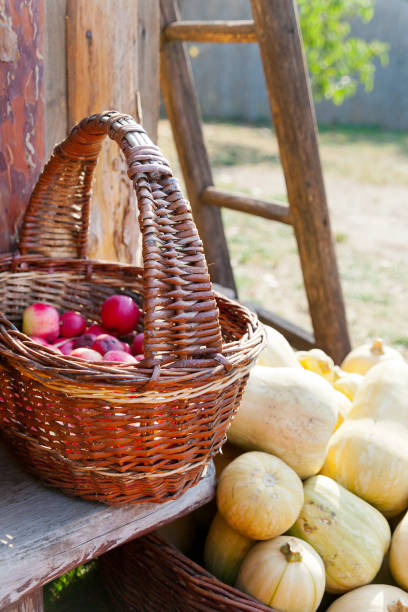 Autumnal pumpkins in the garden