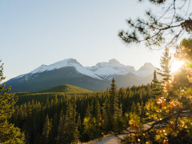 Scenic view of remote wilderness in Canada