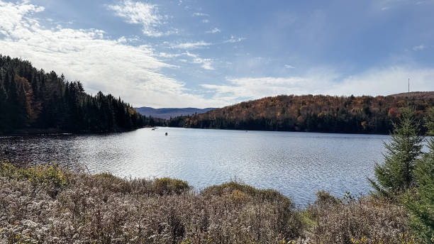 istock Autumn landscape with a lake and forest in Canada. 2183293700