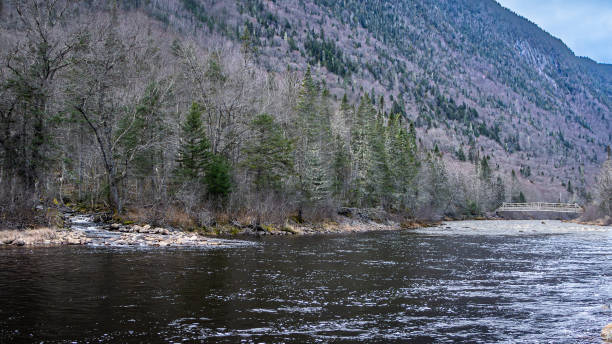 Autumn landscape in the beautiful Jacques-Cartier National Park in Quebec, Canada. Jacques-Cartier National Park offers a magnificent landscape with a vast mountainous plateau fractured by several valleys. The most spectacular is the Jacques-Cartier Valley, it has a trench more than 550 m deep, crossed by a river of the same name, alternately calm and wild. north quebec stock pictures, royalty-free photos & images