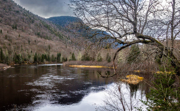 Autumn landscape in the beautiful Jacques-Cartier National Park in Quebec, Canada. Jacques-Cartier National Park offers a magnificent landscape with a vast mountainous plateau fractured by several valleys. The most spectacular is the Jacques-Cartier Valley, it has a trench more than 550 m deep, crossed by a river of the same name, alternately calm and wild. north quebec stock pictures, royalty-free photos & images