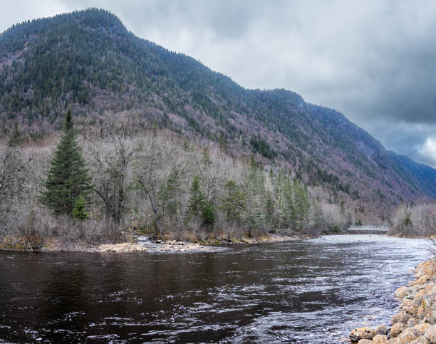Autumn landscape in the beautiful Jacques-Cartier National Park in Quebec, Canada. Jacques-Cartier National Park offers a magnificent landscape with a vast mountainous plateau fractured by several valleys. The most spectacular is the Jacques-Cartier Valley, it has a trench more than 550 m deep, crossed by a river of the same name, alternately calm and wild. north quebec stock pictures, royalty-free photos & images