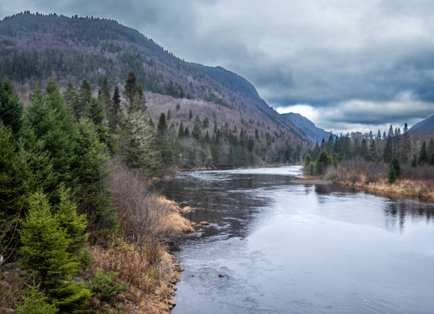 Autumn landscape in the beautiful Jacques-Cartier National Park in Quebec, Canada. Jacques-Cartier National Park offers a magnificent landscape with a vast mountainous plateau fractured by several valleys. The most spectacular is the Jacques-Cartier Valley, it has a trench more than 550 m deep, crossed by a river of the same name, alternately calm and wild. north quebec stock pictures, royalty-free photos & images