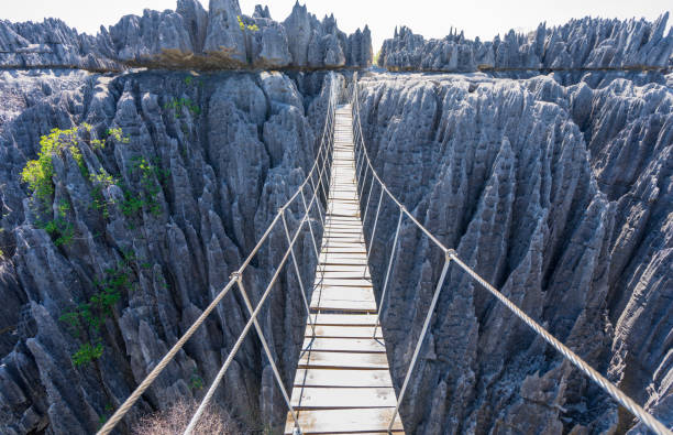 istock Precarious Wooden Bridge Over Tsingy de Bemaraha Cliffs, Madagascar. 2183295200