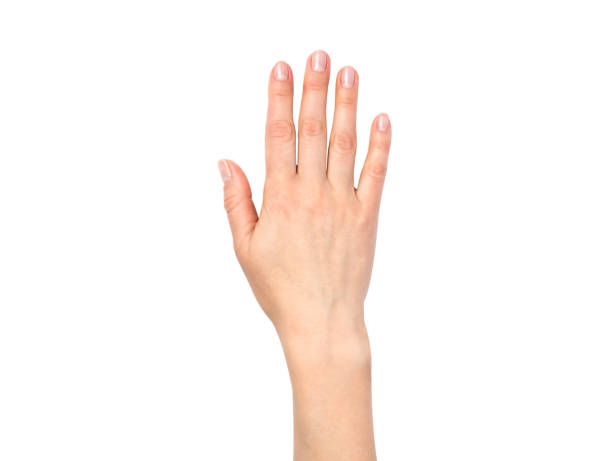 istock Female hand with neutral manicure isolated on white background. 2183295762
