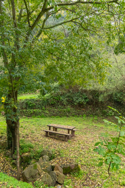 istock A bench is sitting in a grassy field next to a tree 2183296566