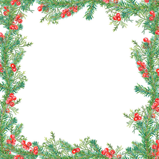 istock Square frame of spruce green branches, red holly berries, thuja. Hand drawn watercolor illustration of botanical winter elements on isolated background. Template with ilex for holiday greeting cards 2183298821