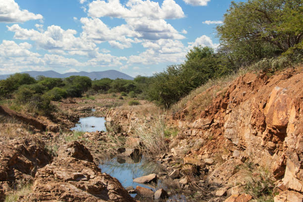 waterhole in the african bush rocky terrain