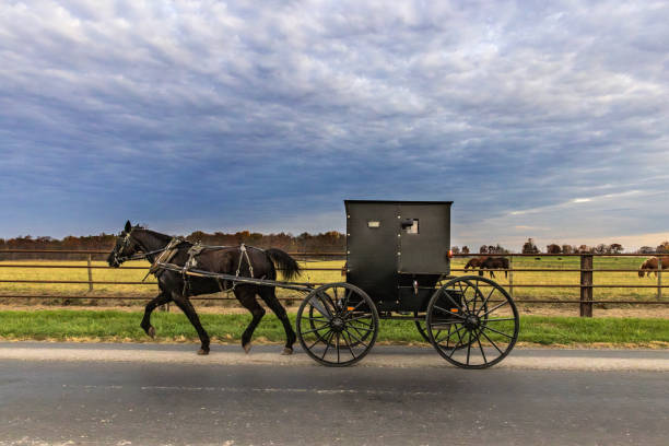 istock Amish Horse and buggy on Cloudy Morning 2183305758