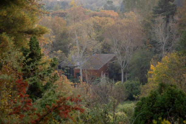 Autumn colors and a house among the trees